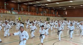40 Jahre Yoshino Dojo Scharbeutz: Jubiläumslehrgang mit hochrangigen Meistern