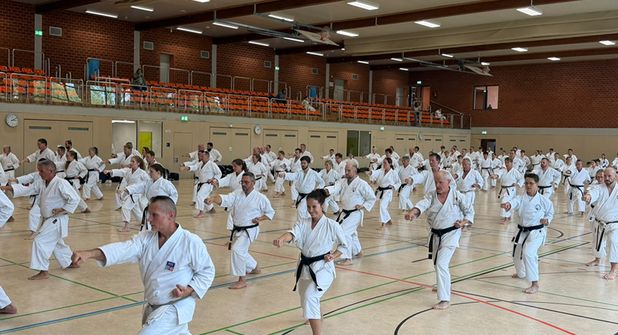 40 Jahre Yoshino Dojo Scharbeutz: Jubiläumslehrgang mit hochrangigen Meistern
