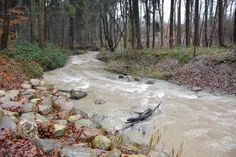 Der Lachsbach zwischen Schönwalde und dem Neustädter Binnenwasser.