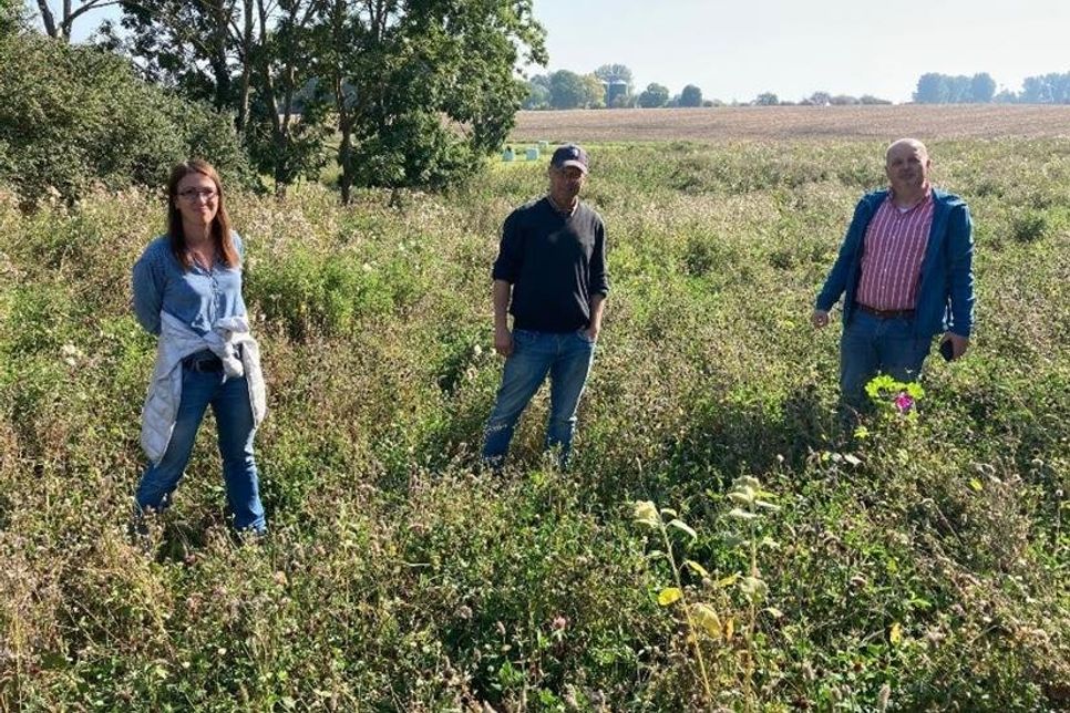 Elke Bögelsack (Ausgleichsmanagerin), Wulf-Sophus Theophile (Landwirt) und Joachim Siebrecht (Fachdienstleiter Natur und Umwelt).