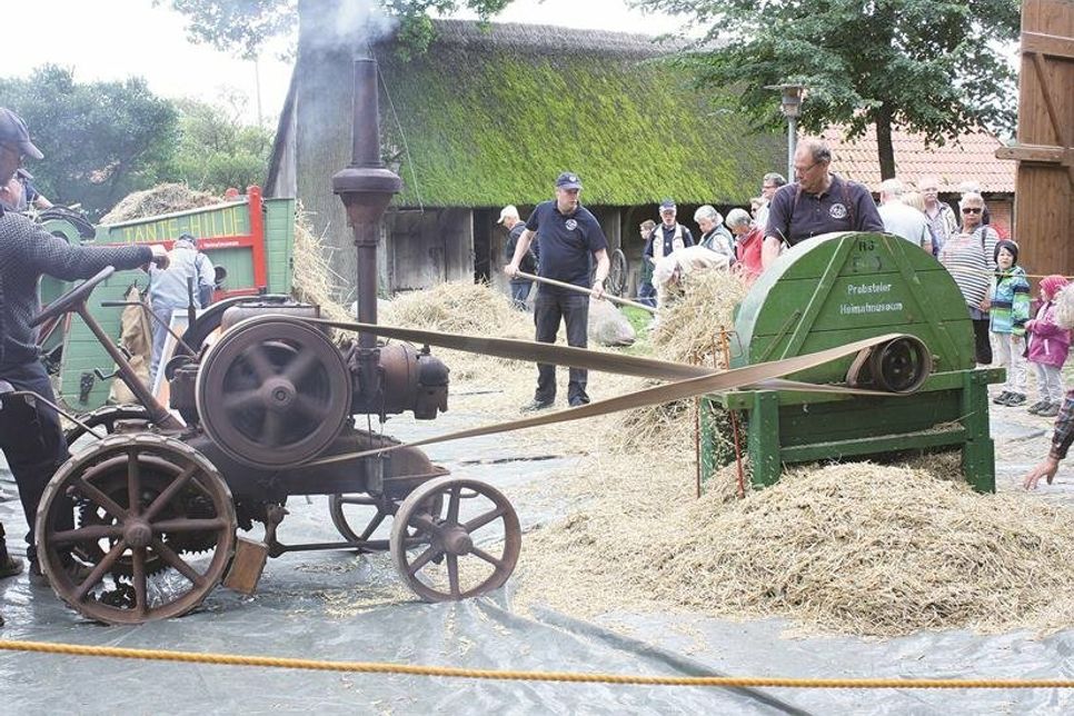 Erntezeit wie früher: Am Sonnabend, 12. August ist Dreschtag am Probstei Museum.