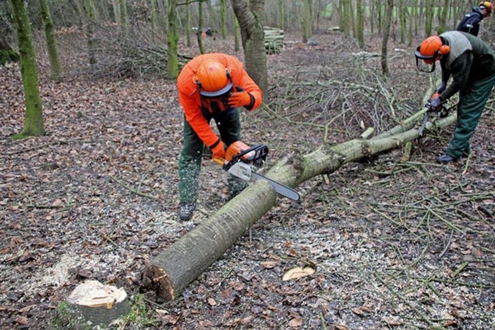 Meterstücke zum Abtransport