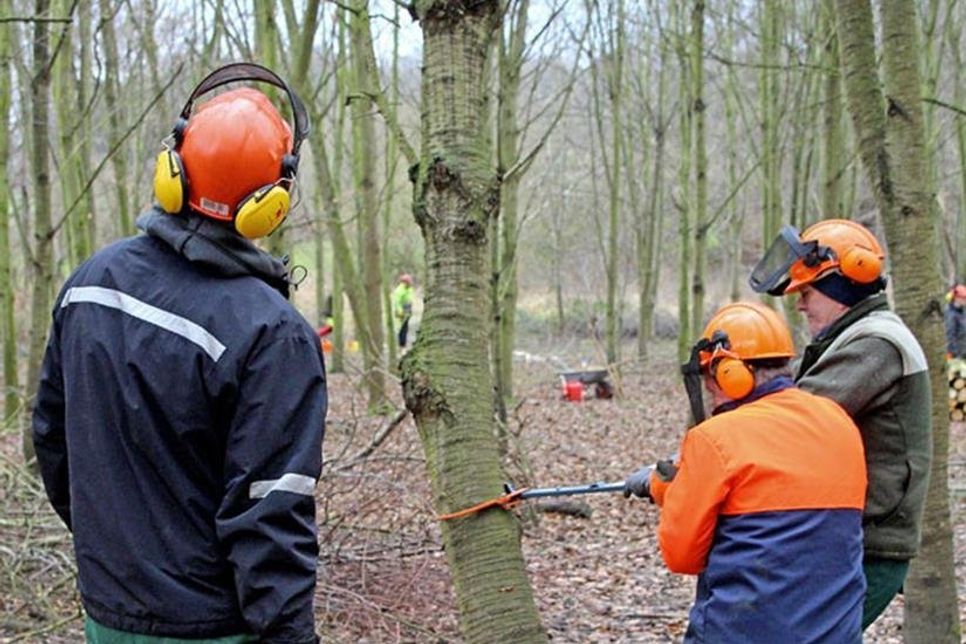 Kleine Arbeitsgruppen im Wald
