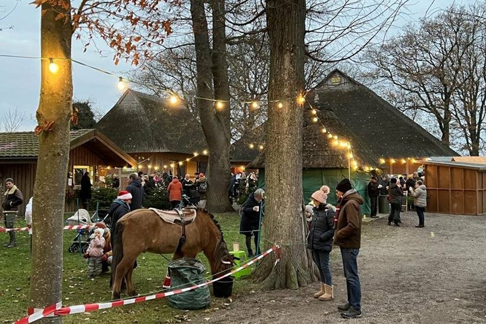 Ponyreiten, Punsch und Plaudern beim Gruber Weihnachtsmarkt.
