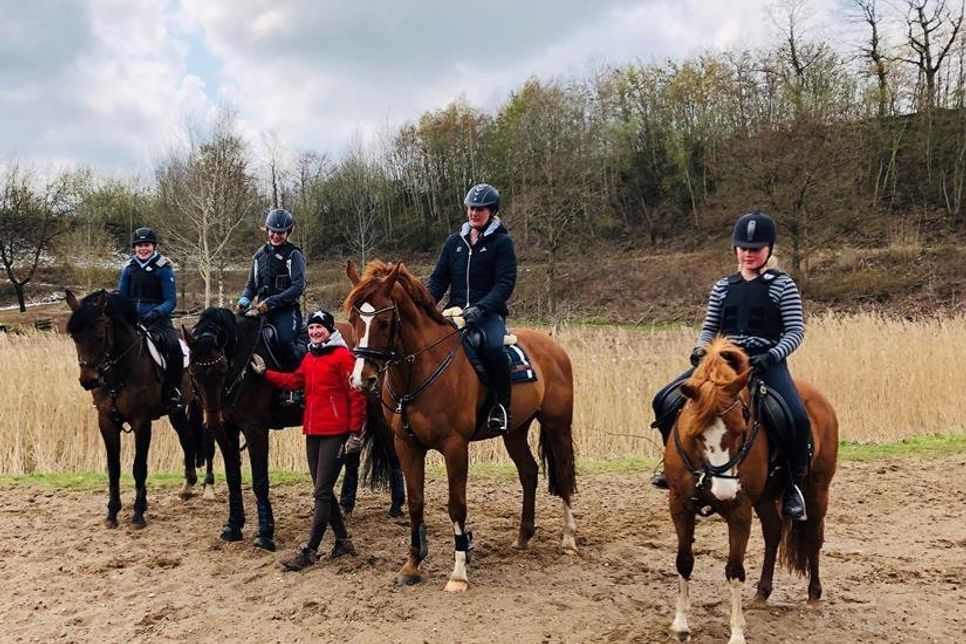 Geländetraining des Reit- und Fahrvereins Neustadt im Max-Habel-Park Süsel.