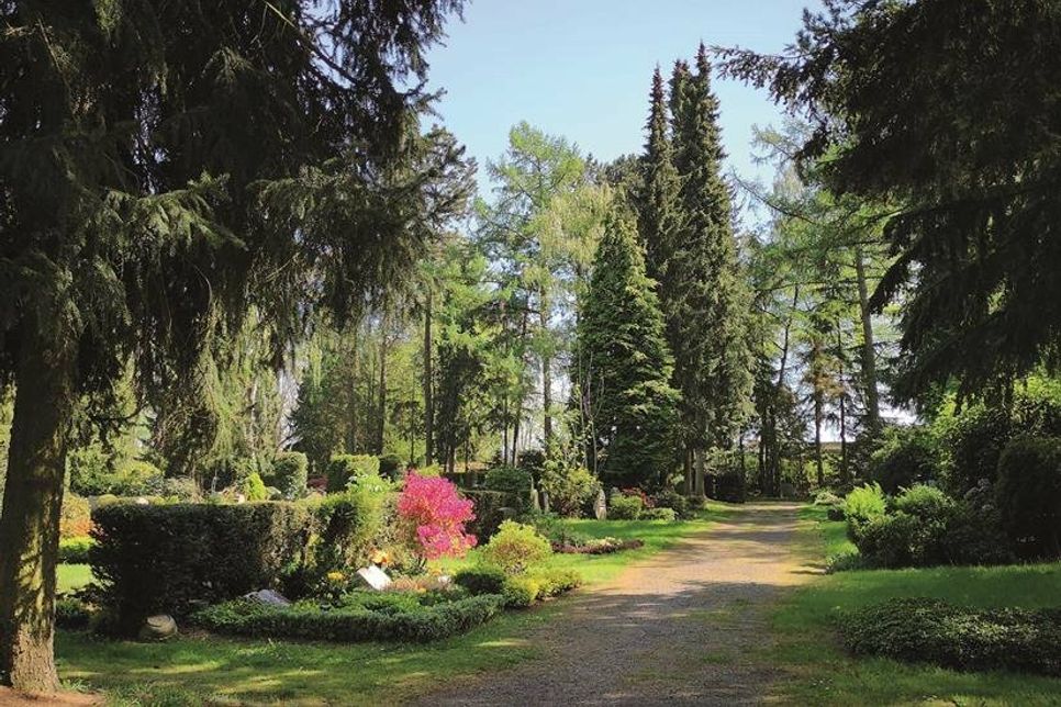 Welche Bestattungsart ist am umweltverträglichsten? Spielen Fragen der Nachhaltigkeit bei Beerdigungen eine Rolle?