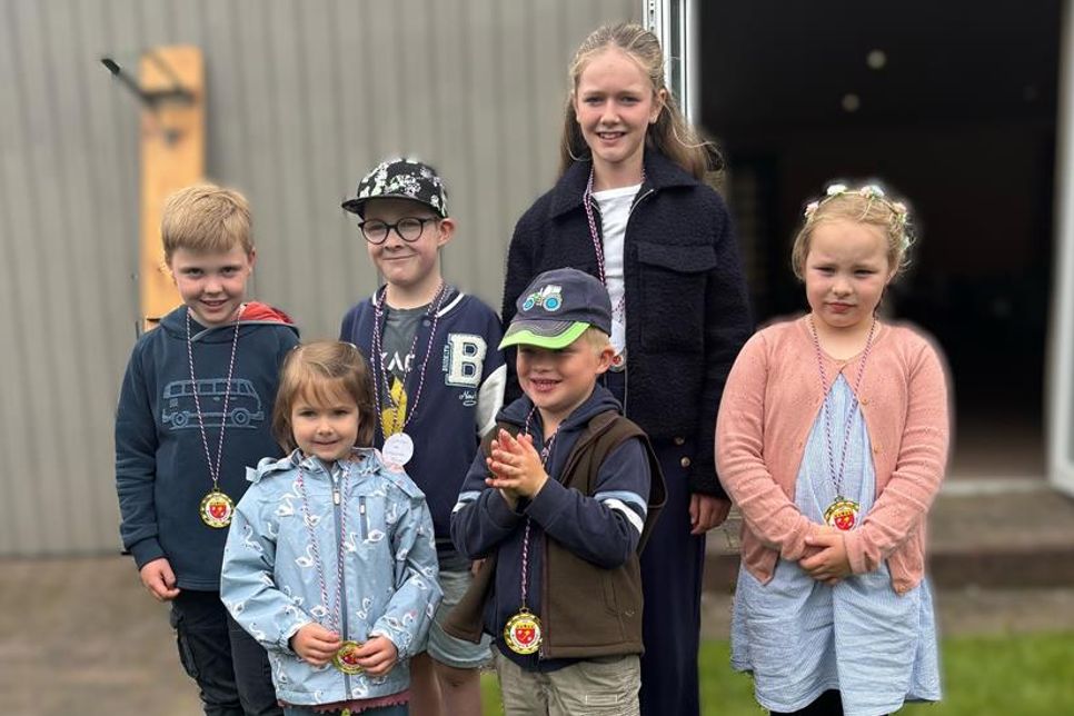 Die Kinderkönigspaare.