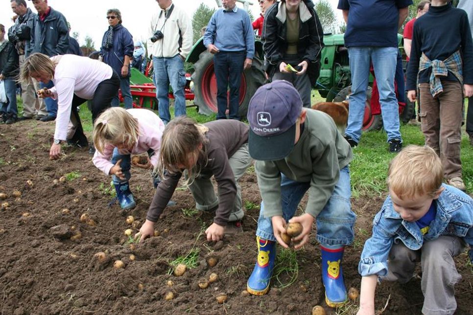 Alle Besucher sind herzlich zur Ernte mit Hacke und Spaten eingeladen.