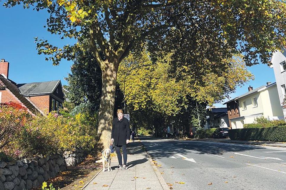 An vielen Bäumen hängt das Laub noch satt an den Ästen. Doch in den nächsten Tagen und Wochen wird es abfallen und es kommt reichlich Arbeit auf die Anwohner zu. Stockelsdorfs Bürgermeisterin und ihr Bauhof-Team unterstützen sie dabei durch kostenlose Entsorgungtermine.