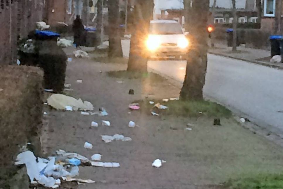 Besonders hart getroffen hatte es die Straße An der Friedenseiche.