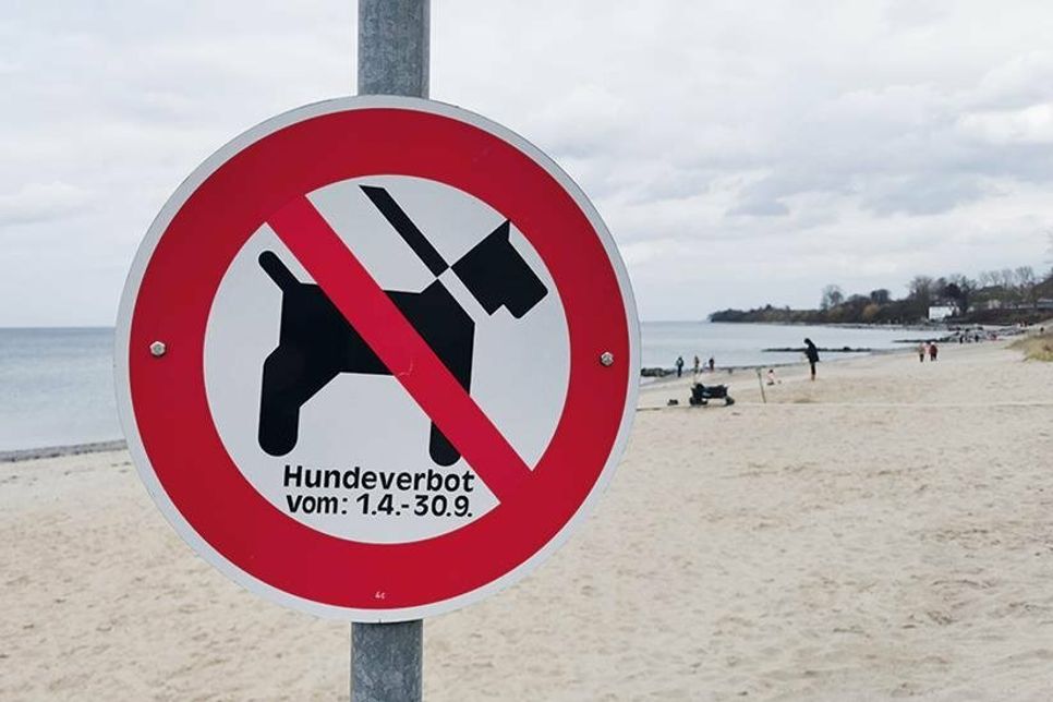 Wie hier in Niendorf/Ostsee weisen Schilder auf das Verbot am Strand hin.