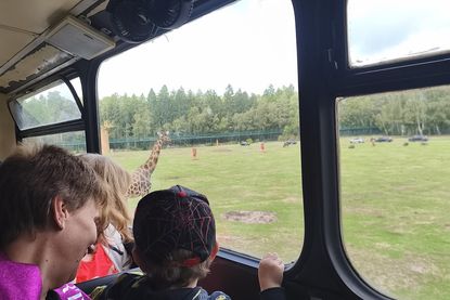 Zu entdecken gab es zahlreiche Tiere und unterschiedliche Lebensräume.