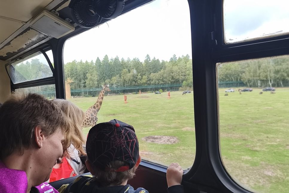 Zu entdecken gab es zahlreiche Tiere und unterschiedliche Lebensräume.