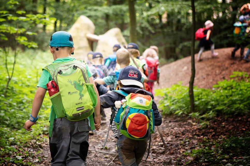 Im Erlebnis Bungsberg Schönwalde geht es auf Entdeckungstour in die Natur.