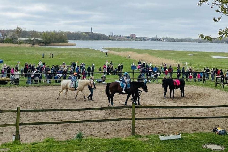 Lange Schlangen bildeten sich vor der Reitbahn.