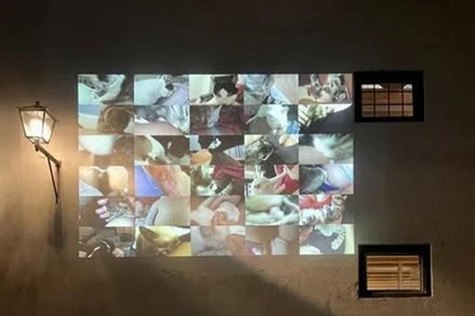 So kann es aussehen, wenn Filme am Abend an Häuserwände und andere Fassaden projiziert werden