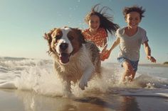 Fast 90 Prozent der europäischen Haustierbesitzer nehmen ihren Hund mit in den Urlaub.