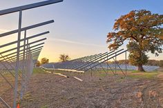 Auf einer 40 Hektar großen Fläche an der B 76 entsteht in Höhe Wittmoldt ein großer Solarpark.