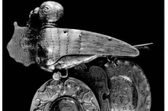 Der fast 400 Jahre alte Papagoien ist der Namensgeber für den Neustädter Gogenkrog.