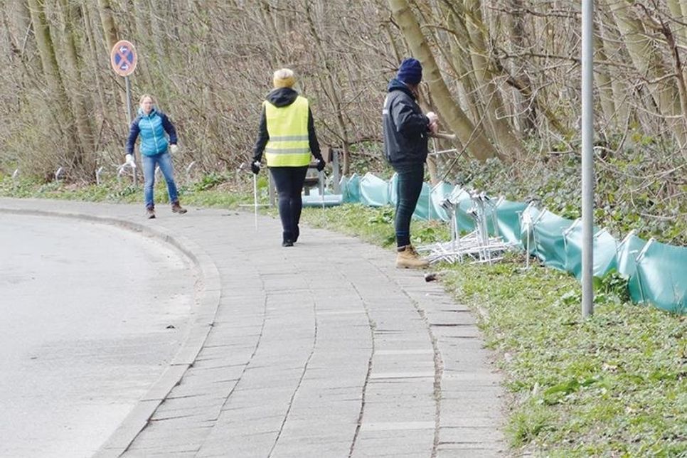In der Wohldstraße in Timmendorfer Strand wurde erstmals ein Krötenzaun errichtet.