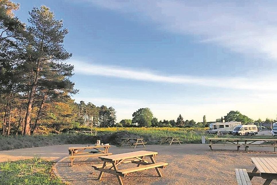 Grillplatz mit eigenem Weg durch den Wald zum Strand.