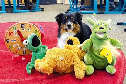 Kindern, LehrerInnen und sogar von Schulhund Fiete nahmen das Kätzchen begeistert auf.