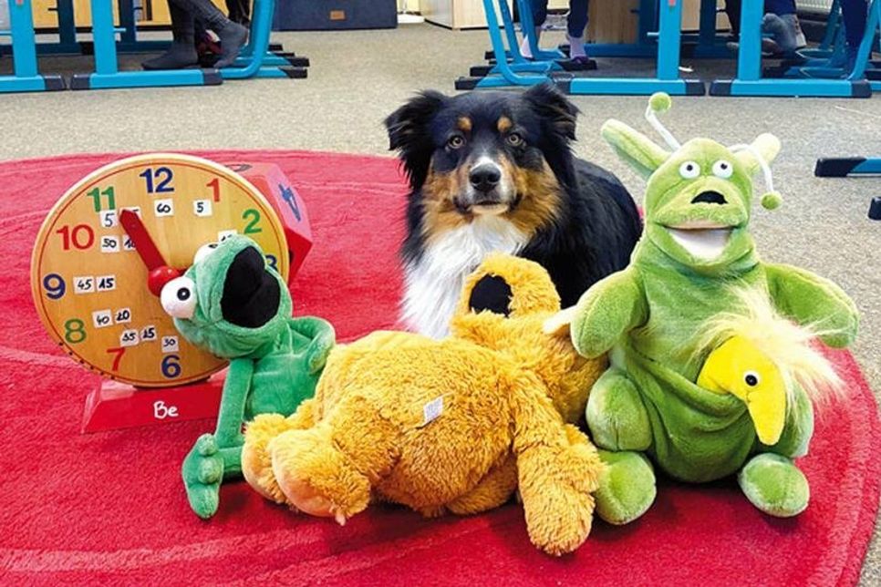 Kindern, LehrerInnen und sogar von Schulhund Fiete nahmen das Kätzchen begeistert auf.
