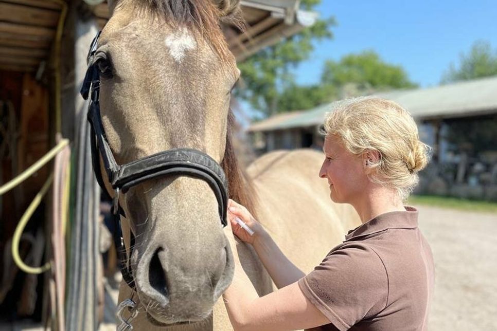 Impfung gegen Influenza.
