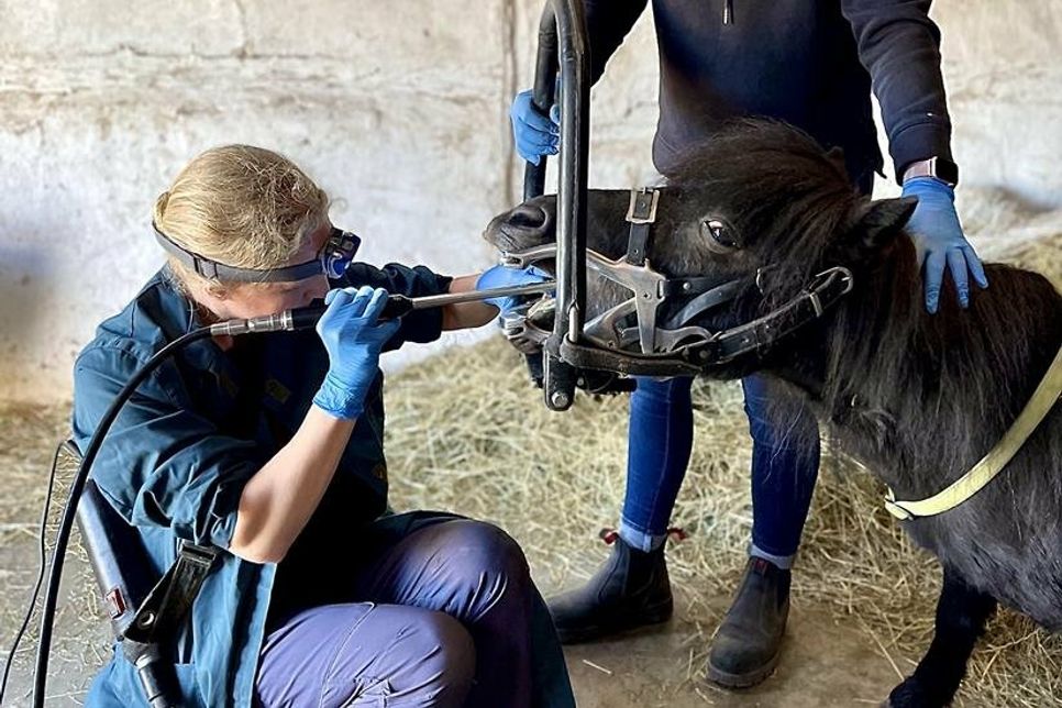 Auch die „Kleinsten“ dürfen zum Zahnarzt.