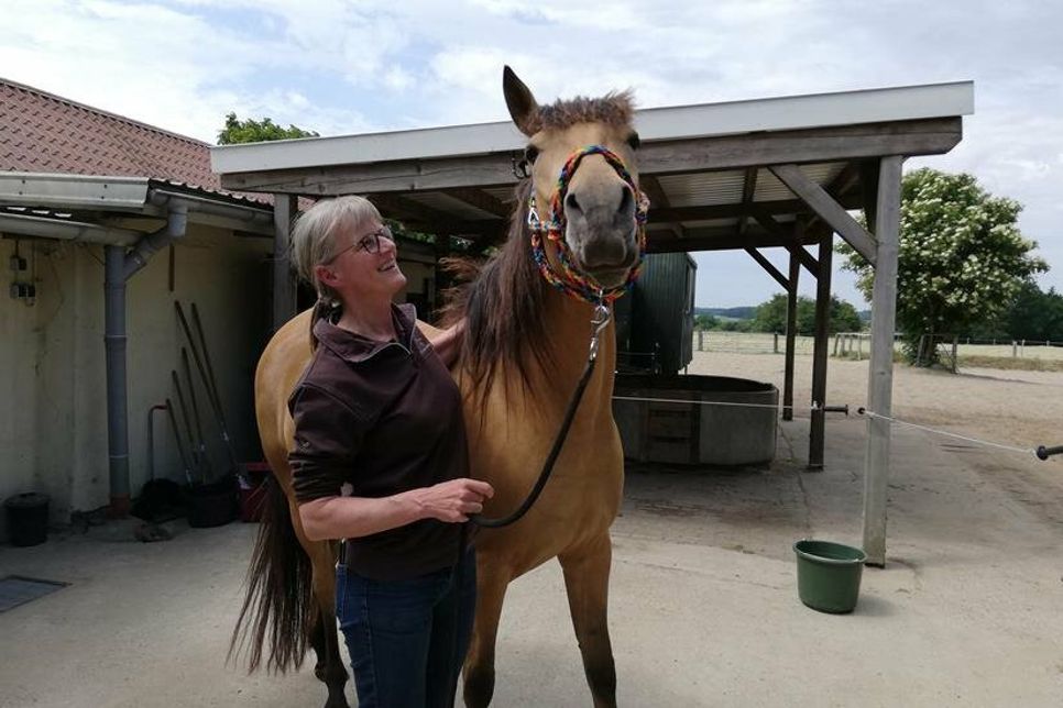 Ein glückliches Pferd nach einer erfolgreichen Behandlung bei Dr. Kirsten Block.