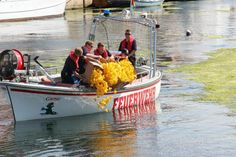 Wie im letzten Jahr wird die Feuerwehr Neustadt die Enten ins Wasser lassen.