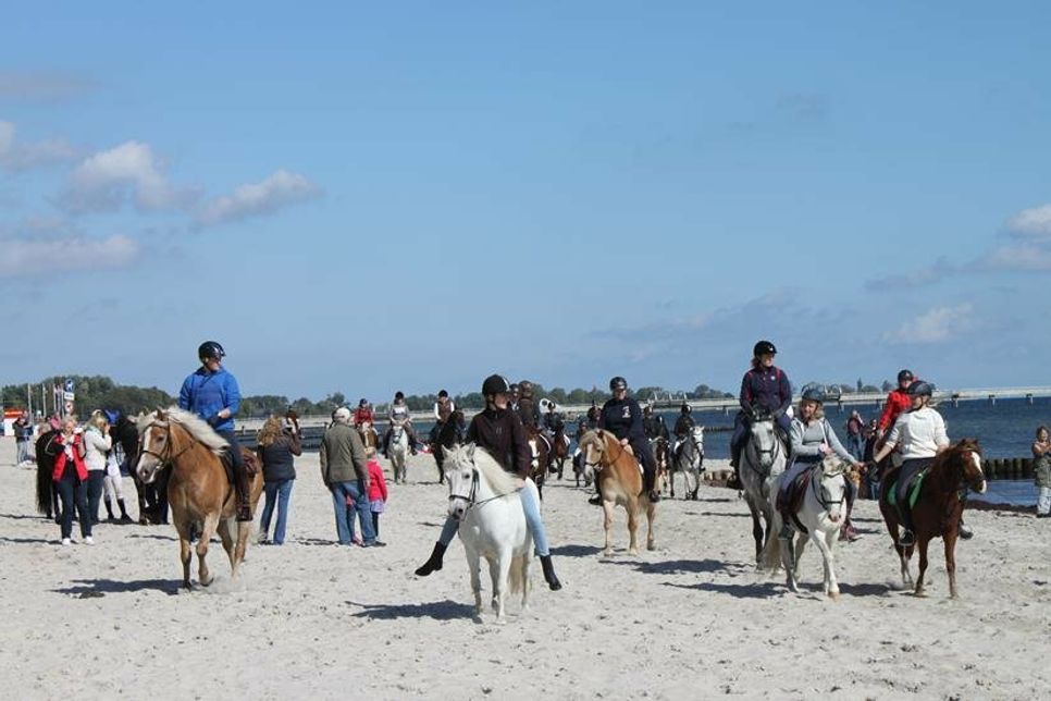 Reiten am Strand wie hier in Kellenhusen ist in einigen Ostseebädern vom 1. November (in Scharbeutz schon ab dem 1. Oktober) bis zum 31. März erlaubt.