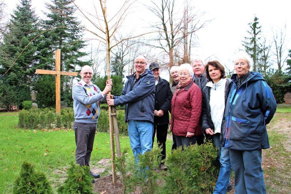 Scharbeutz. Das im Jahr 2014 angelegte Urnengrabfeld auf dem Friedhof am Kammerweg ist um einen Baum bereichert worden. An der Hecke am Weg zu dem über drei Meter großen Eichenkreuz wurde vor Kurzem eine Trauerweide gepflanzt, die Fred-Michael Pätau (v. lks.) der Kirchengemeinde Scharbeutz gespendet hatte. Gemeinsam mit Friedhofswart Borris Mayes sowie Ernst-Otto Timm, Horst Höppner, Karin Boller und Wolfgang Kollath vom Kirchenvorstand sowie Pastorin Dr. Corinna Schlapkohl und Helga Sander vom Kirchenvorstand wurde der neue Baum am letzten Montag in Augenschein genommen. Direkt hinter der Sitzbank, die im Frühjahr wieder aufgestellt wird, soll die Weide dem Ort des Gedenkens einen würdigen Rahmen geben. (he)
