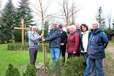 Scharbeutz. Das im Jahr 2014 angelegte Urnengrabfeld auf dem Friedhof am Kammerweg ist um einen Baum bereichert worden. An der Hecke am Weg zu dem über drei Meter großen Eichenkreuz wurde vor Kurzem eine Trauerweide gepflanzt, die Fred-Michael Pätau (v. lks.) der Kirchengemeinde Scharbeutz gespendet hatte. Gemeinsam mit Friedhofswart Borris Mayes sowie Ernst-Otto Timm, Horst Höppner, Karin Boller und Wolfgang Kollath vom Kirchenvorstand sowie Pastorin Dr. Corinna Schlapkohl und Helga Sander vom Kirchenvorstand wurde der neue Baum am letzten Montag in Augenschein genommen. Direkt hinter der Sitzbank, die im Frühjahr wieder aufgestellt wird, soll die Weide dem Ort des Gedenkens einen würdigen Rahmen geben. (he)