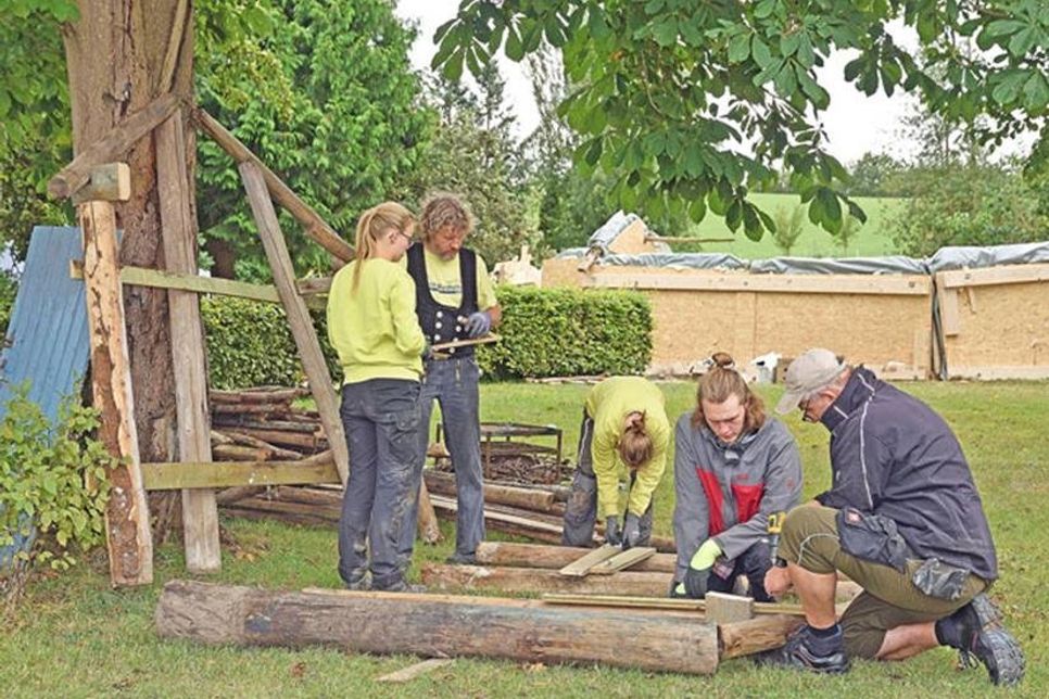 Die Jugendbauhütte Lübeck in Aktion: Alle Holzteile des historischen Bienenhauses wurden bereits für den Transport vorbereitet,…