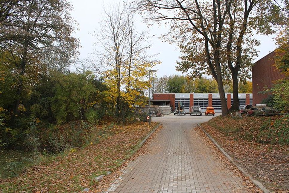 Am Samstagvormittag können die Einwohner der Gemeinde Ratekau das Laub der Straßenbäume bei ihrem Bauhof kostenlos entsorgen.