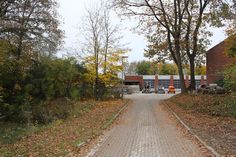 Am Samstagvormittag können die Einwohner der Gemeinde Ratekau das Laub der Straßenbäume bei ihrem Bauhof kostenlos entsorgen.