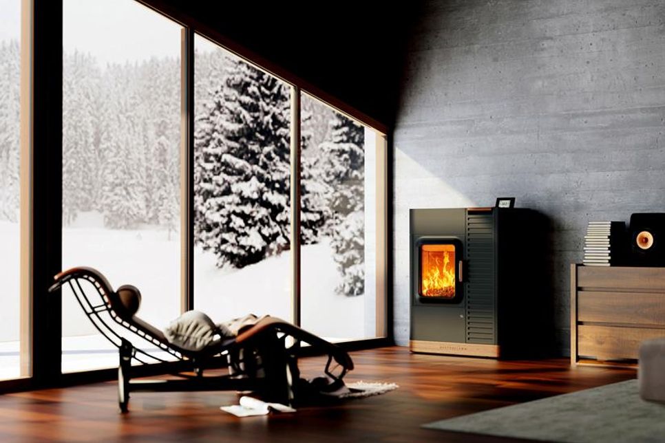 Der Brennstoff Holz wurde von der deutschen Enquête-Kommission zum Schutz der Erdatmosphäre mit der Emissionskennzahl „Null“ bewertet.