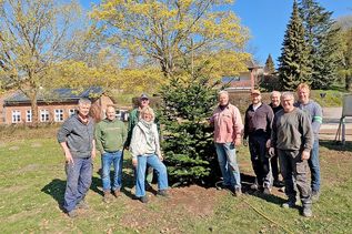 Nach der spontanen Hilfsaktion steht wieder ein Tannenbaum auf der Kirchwiese – die Fissauer freuen sich über das gelungene Gemeinschaftsprojekt.