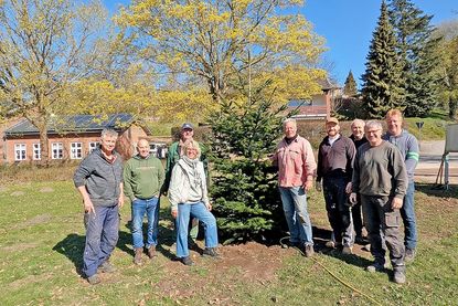 Nach der spontanen Hilfsaktion steht wieder ein Tannenbaum auf der Kirchwiese – die Fissauer freuen sich über das gelungene Gemeinschaftsprojekt.