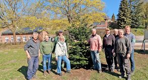Nach der spontanen Hilfsaktion steht wieder ein Tannenbaum auf der Kirchwiese – die Fissauer freuen sich über das gelungene Gemeinschaftsprojekt.