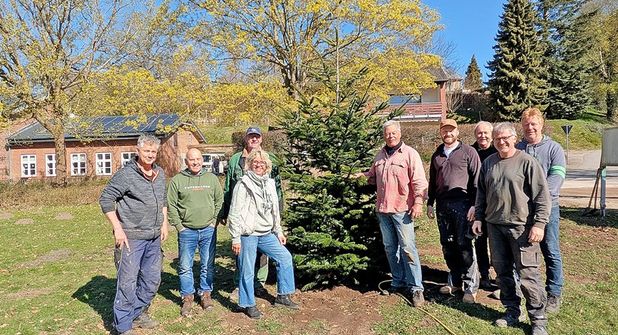 Nach der spontanen Hilfsaktion steht wieder ein Tannenbaum auf der Kirchwiese – die Fissauer freuen sich über das gelungene Gemeinschaftsprojekt.
