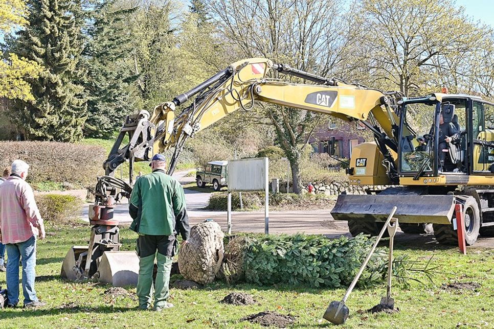 Mit schwerem Gerät wurde zunächst ein ausreichend großes Pflanzloch vorbereitet – ein großer Bagger kam dafür auf der Kirchwiese zum Einsatz.