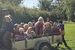 Die 3. Klasse war auf Hof Klostersee in der Apfelernte tätig.