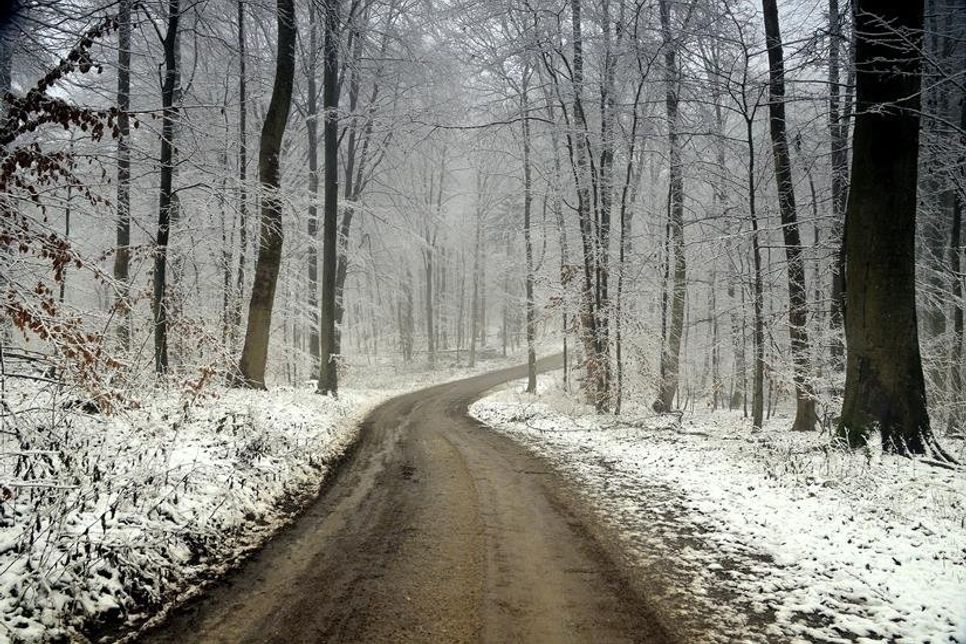 Ein kleines Winterwunderland hat Monika Grebien auf dem Bungsberg gefunden.