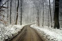 Ein kleines Winterwunderland hat Monika Grebien auf dem Bungsberg gefunden.