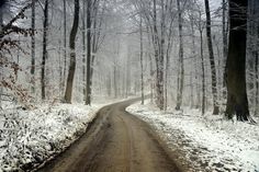 Ein kleines Winterwunderland hat Monika Grebien auf dem Bungsberg gefunden.