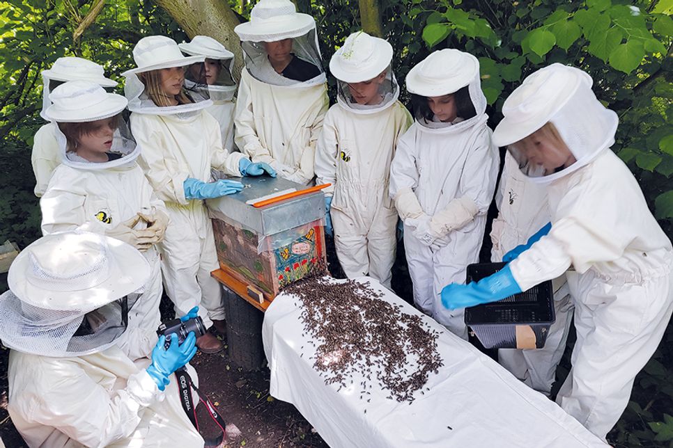 „der reporter“ war dabei, als die Bienen am 5. Juni 2024 bei der GGS-Strand Europaschule eingezogen sind.