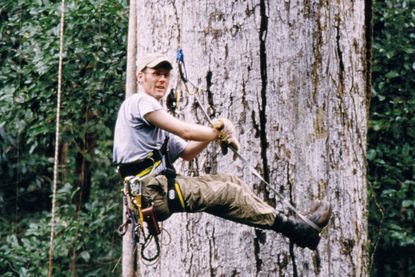 Der Referent in seinem Element – an einem riesigen Tropenbaum.