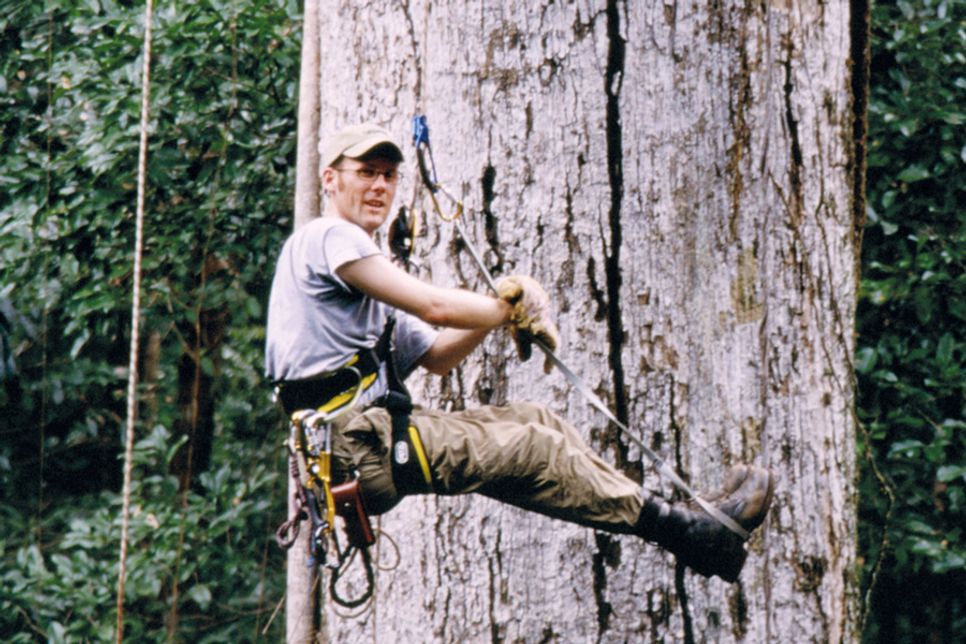 Der Referent in seinem Element – an einem riesigen Tropenbaum.